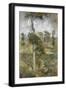 Black Frame