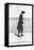 John Hume-John Kay-Framed Stretched Canvas