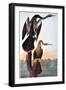 Black Frame