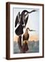 Brown Frame