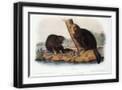 Black Frame