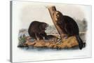 Stretched Canvas