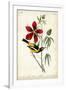 Gramercy White