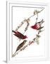 Gramercy White
