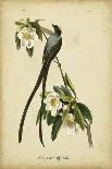 Audubon: Warbler, 1827-38-John James Audubon-Giclee Print