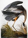 Arkansaw Flycatcher, Swallow-tailed Flycatcher and Says Flycatcher, 1837-John James Audubon-Giclee Print