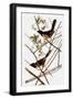 Black Frame