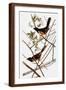 Brown Frame