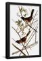 Essential Black