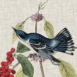 Pl 353 Black-capt Titmouse-John Audubon-Art Print