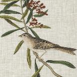 PL 186 Pinnated Grouse-John Audubon-Art Print