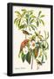 Essential Black