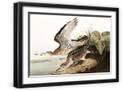 Black Frame