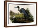 Brown Frame