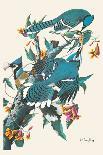 Whooping Crane,-John James Audubon-Giclee Print