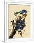 Gramercy White