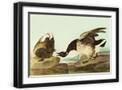 Black Frame