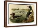 Brown Frame
