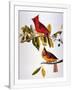 Gramercy White