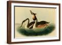 Brown Frame