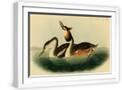 White Frame