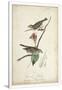Gramercy White