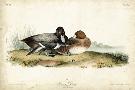 Just the Print