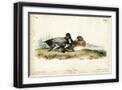 Black Frame