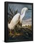 Essential Black