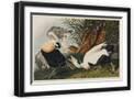 Black Frame