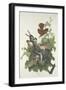 Black Frame