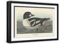 Black Frame
