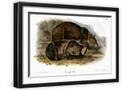 Black Frame