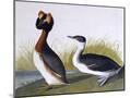 Wood Mount