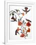 Gramercy White