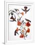 Gramercy White