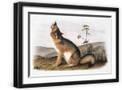 Black Frame