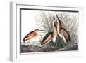 White Frame