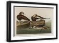 Black Frame