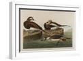 White Frame