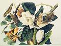 Just the Print