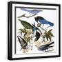 Black Frame