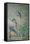 Canvas Black
