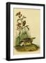 Black Frame