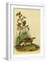 White Frame
