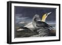 Black Frame