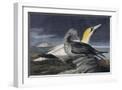 White Frame