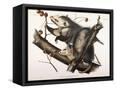 Canvas Black