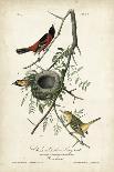 Blue Crane or Heron-John James Audubon-Giclee Print