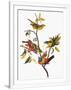 Gramercy White